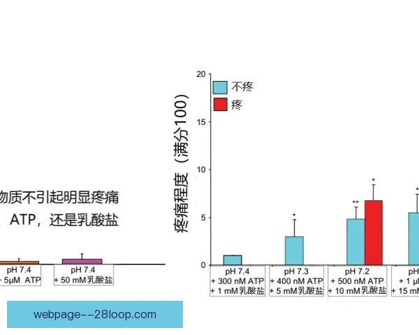 击剑乳酸耐受训练，提升连续交锋中的稳定性